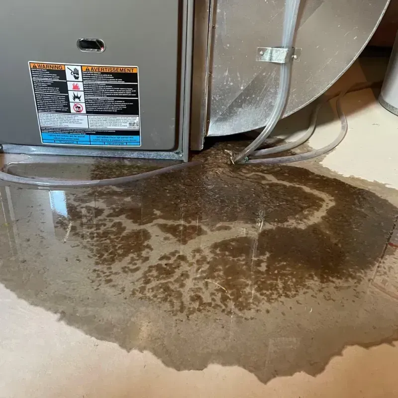 Appliance Leak Cleanup in Cottage Lake, WA